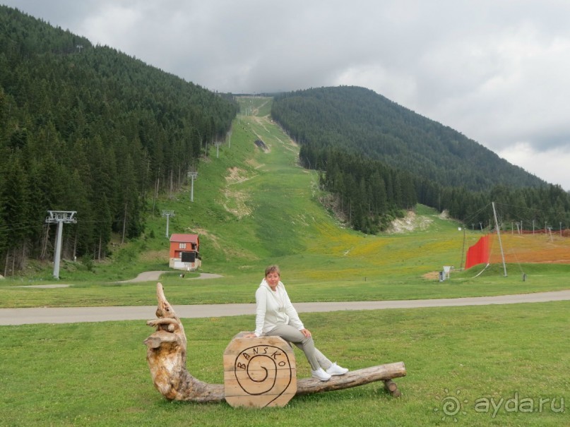 Горы. Сосны. Белки. И минус семь килограммов!