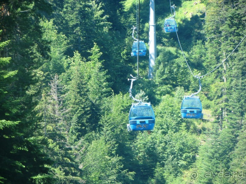 Горы. Сосны. Белки. И минус семь килограммов!