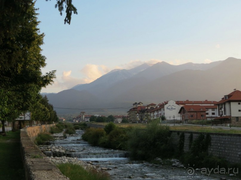 Горы. Сосны. Белки. И минус семь килограммов!