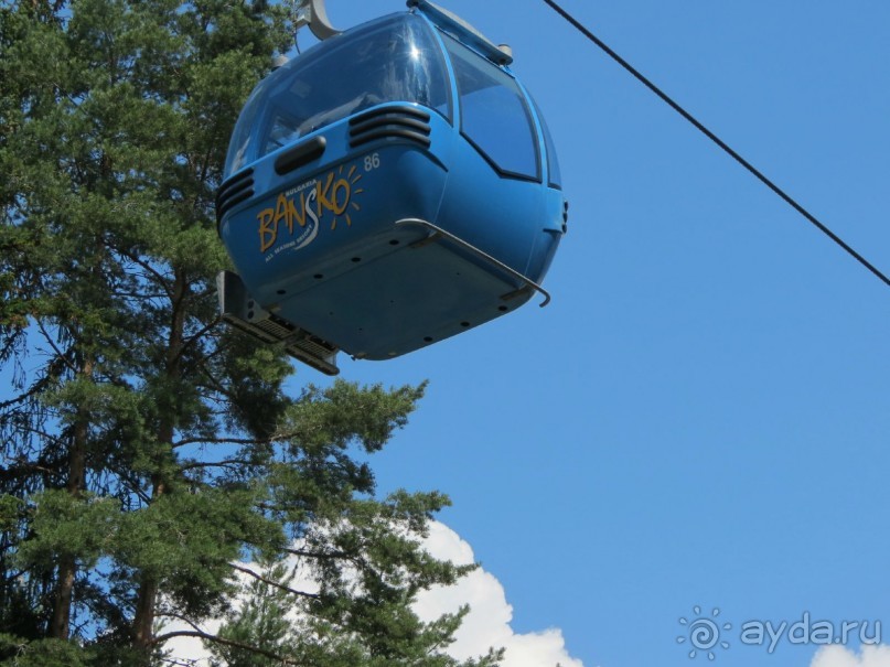 Горы. Сосны. Белки. И минус семь килограммов!