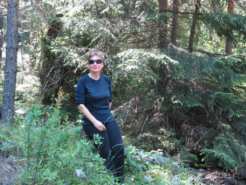 Горы. Сосны. Белки. И минус семь килограммов!