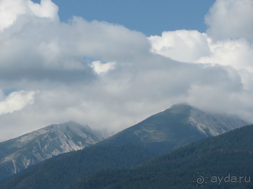 Горы. Сосны. Белки. И минус семь килограммов!