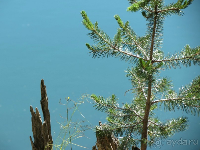 Горы. Сосны. Белки. И минус семь килограммов!