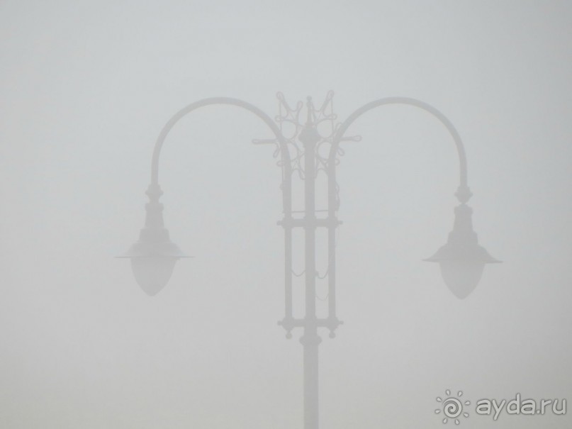 Горы. Сосны. Белки. И минус семь килограммов!