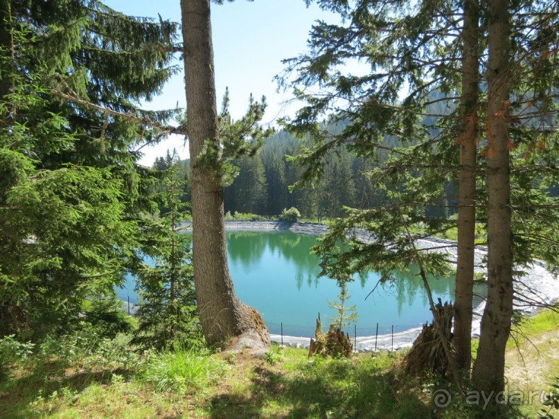 Горы. Сосны. Белки. И минус семь килограммов!