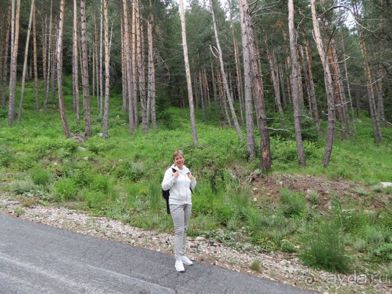 Горы. Сосны. Белки. И минус семь килограммов!