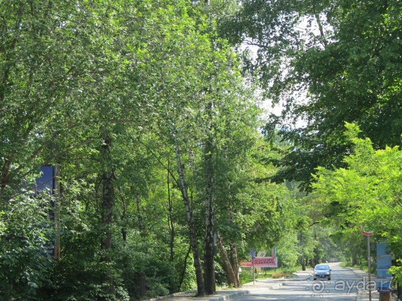 Горы. Сосны. Белки. И минус семь килограммов!