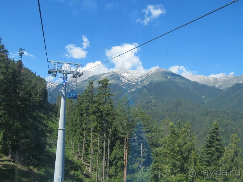 Горы. Сосны. Белки. И минус семь килограммов!