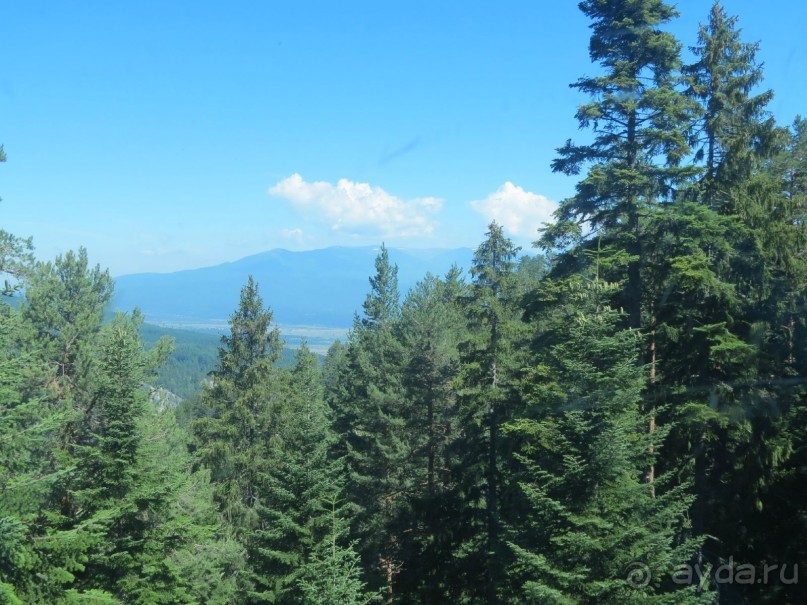 Горы. Сосны. Белки. И минус семь килограммов!