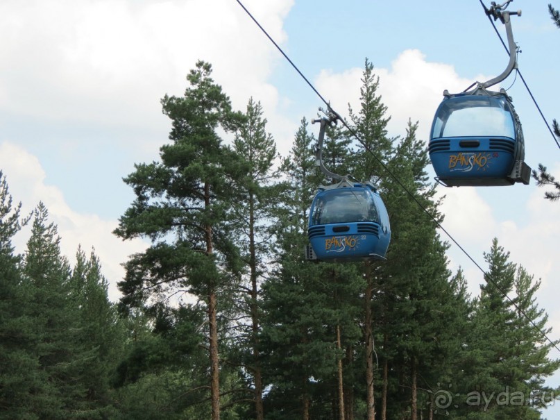 Горы. Сосны. Белки. И минус семь килограммов!