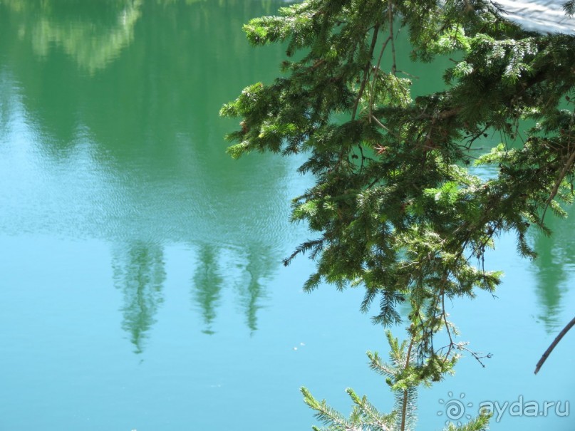 Горы. Сосны. Белки. И минус семь килограммов!