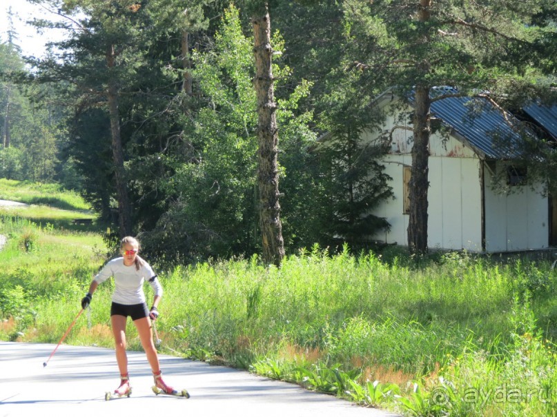 Горы. Сосны. Белки. И минус семь килограммов!
