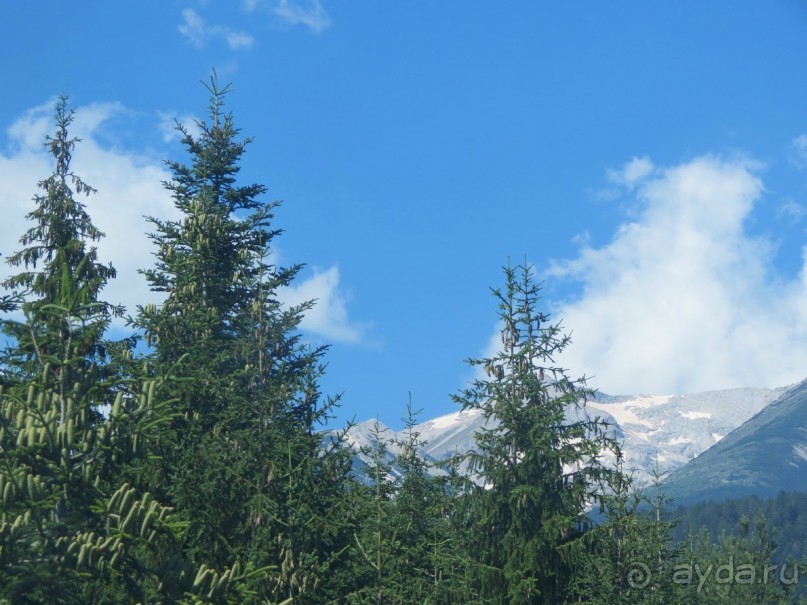 Горы. Сосны. Белки. И минус семь килограммов!