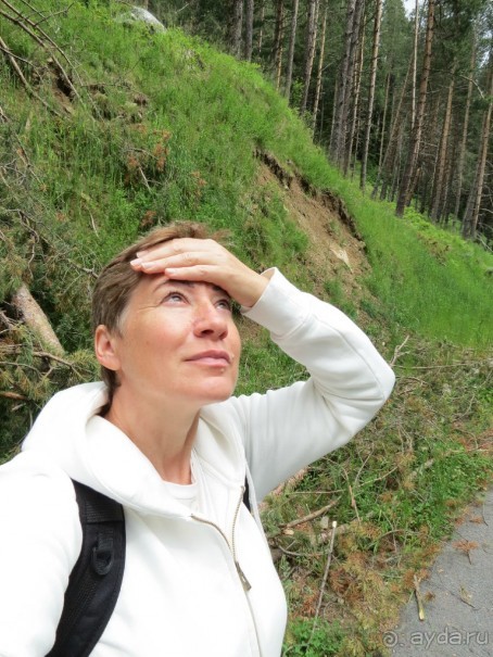 Горы. Сосны. Белки. И минус семь килограммов!