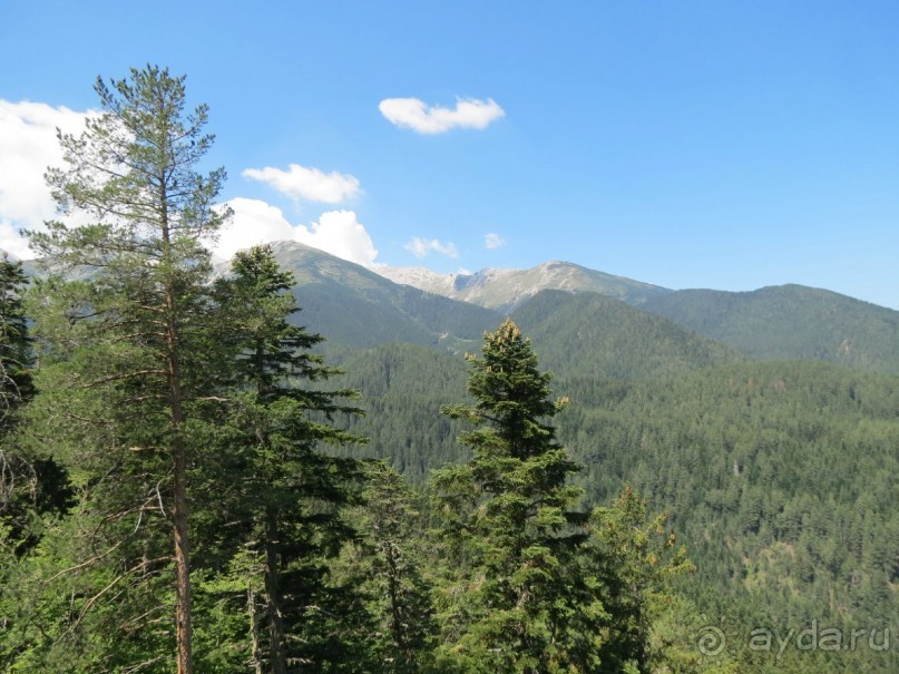 Горы. Сосны. Белки. И минус семь килограммов!