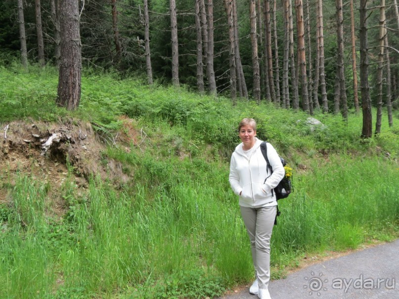 Горы. Сосны. Белки. И минус семь килограммов!