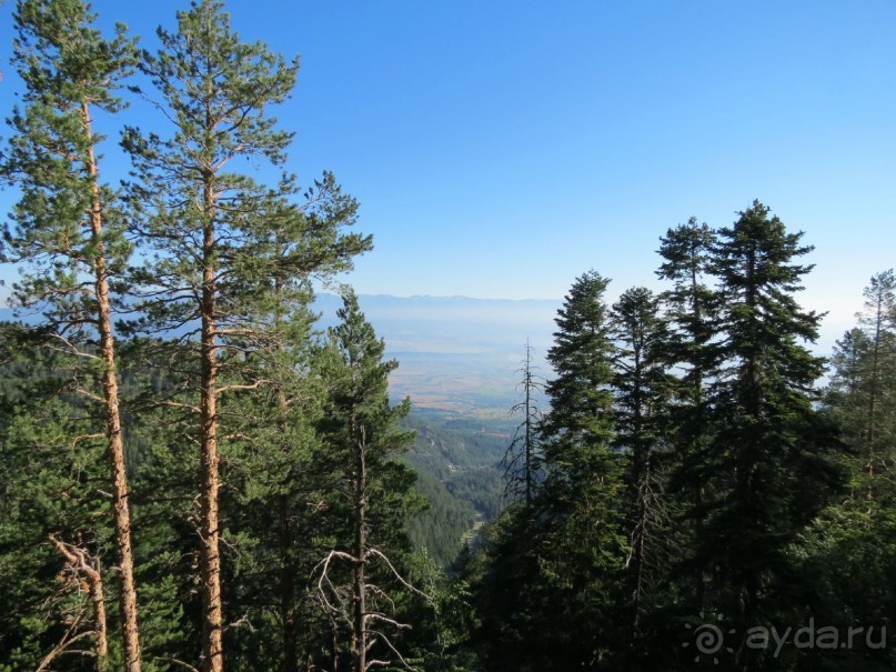 Горы. Сосны. Белки. И минус семь килограммов!