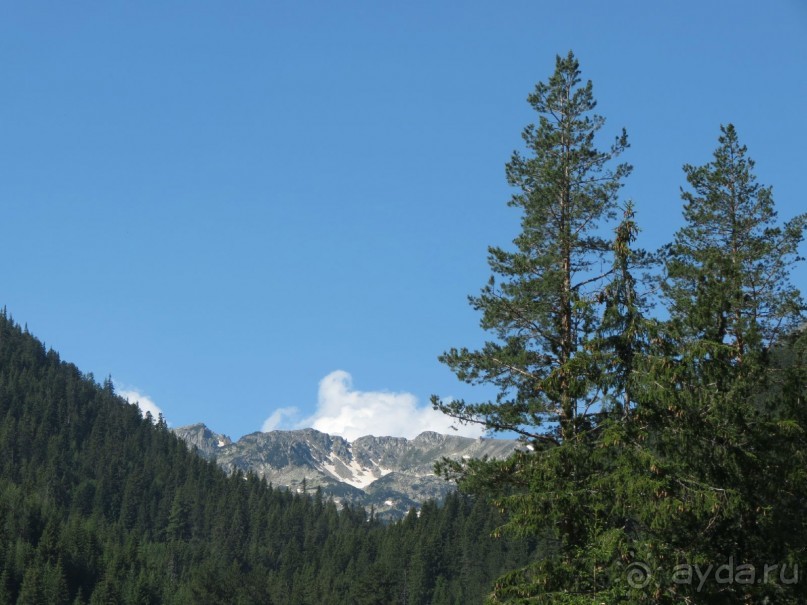 Горы. Сосны. Белки. И минус семь килограммов!