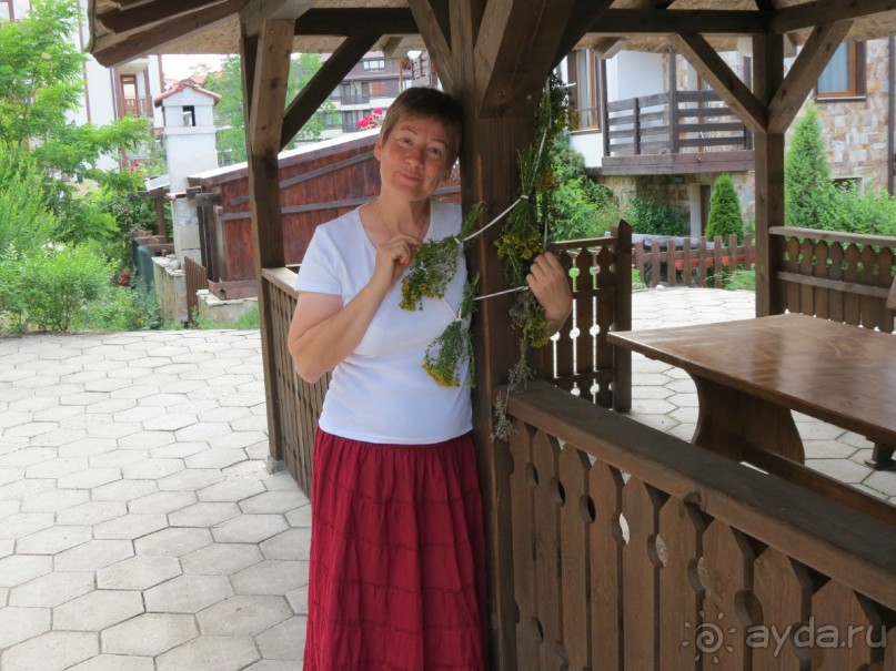 Горы. Сосны. Белки. И минус семь килограммов!