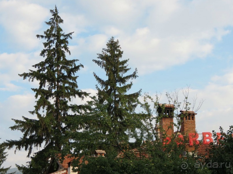 Горы. Сосны. Белки. И минус семь килограммов!