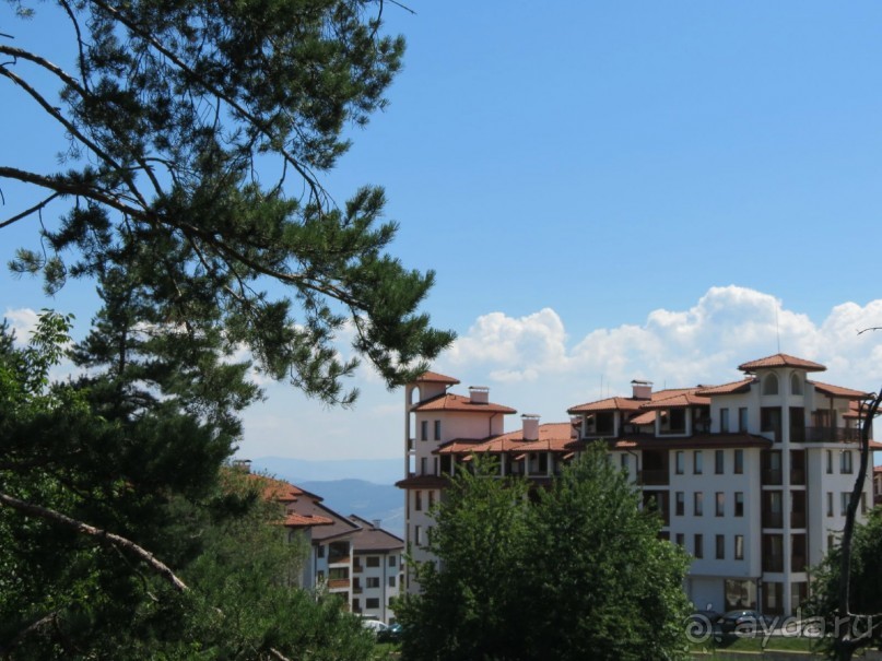 Горы. Сосны. Белки. И минус семь килограммов!