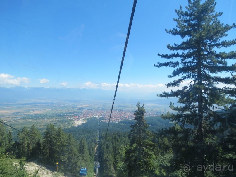 Горы. Сосны. Белки. И минус семь килограммов!