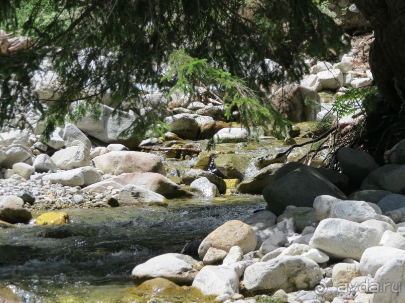 Горы. Сосны. Белки. И минус семь килограммов!