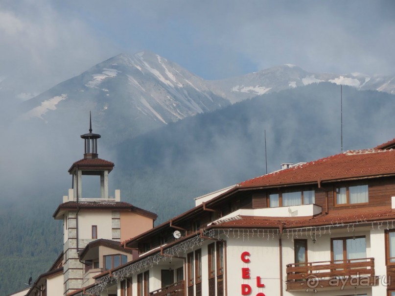 Горы. Сосны. Белки. И минус семь килограммов!