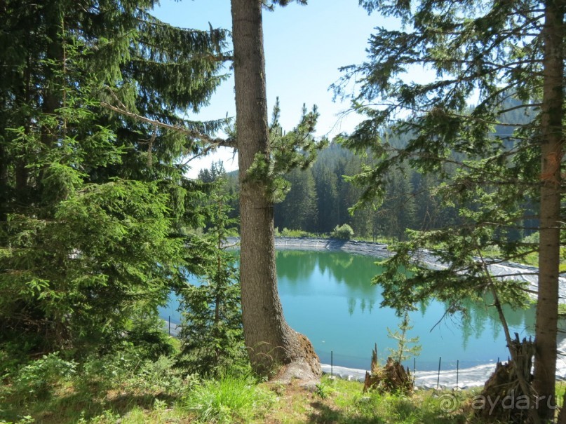 Горы. Сосны. Белки. И минус семь килограммов!