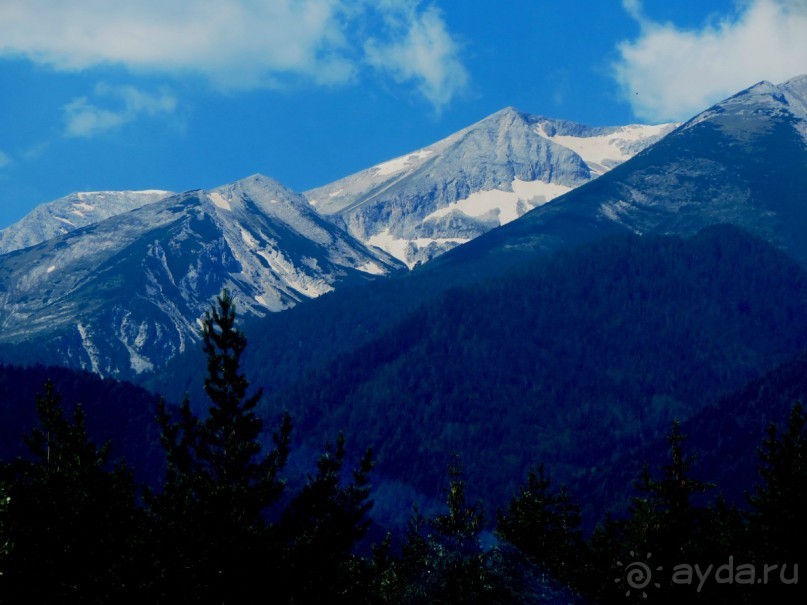 Горы. Сосны. Белки. И минус семь килограммов!