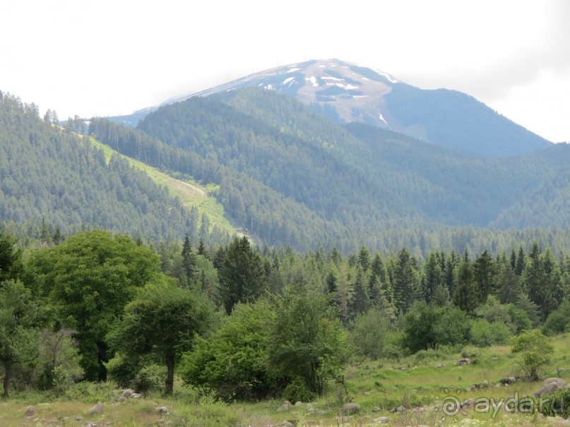 Горы. Сосны. Белки. И минус семь килограммов!