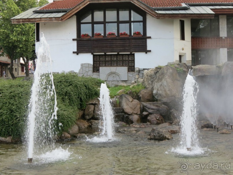 Горы. Сосны. Белки. И минус семь килограммов!