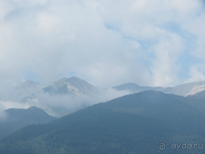 Горы. Сосны. Белки. И минус семь килограммов!
