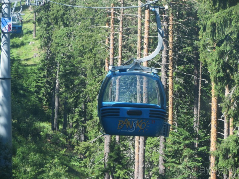 Горы. Сосны. Белки. И минус семь килограммов!