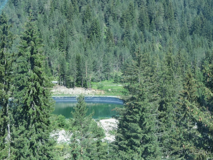 Горы. Сосны. Белки. И минус семь килограммов!