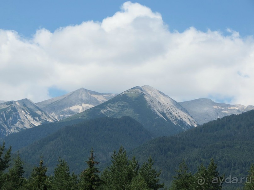 Горы. Сосны. Белки. И минус семь килограммов!