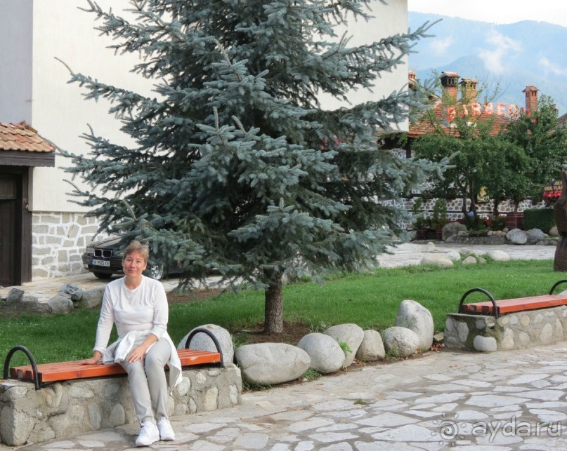 Горы. Сосны. Белки. И минус семь килограммов!