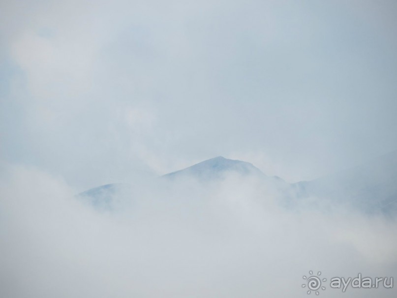 Горы. Сосны. Белки. И минус семь килограммов!