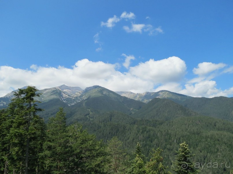 Горы. Сосны. Белки. И минус семь килограммов!