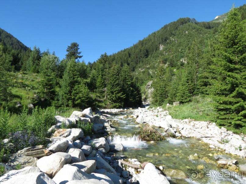 Горы. Сосны. Белки. И минус семь килограммов!