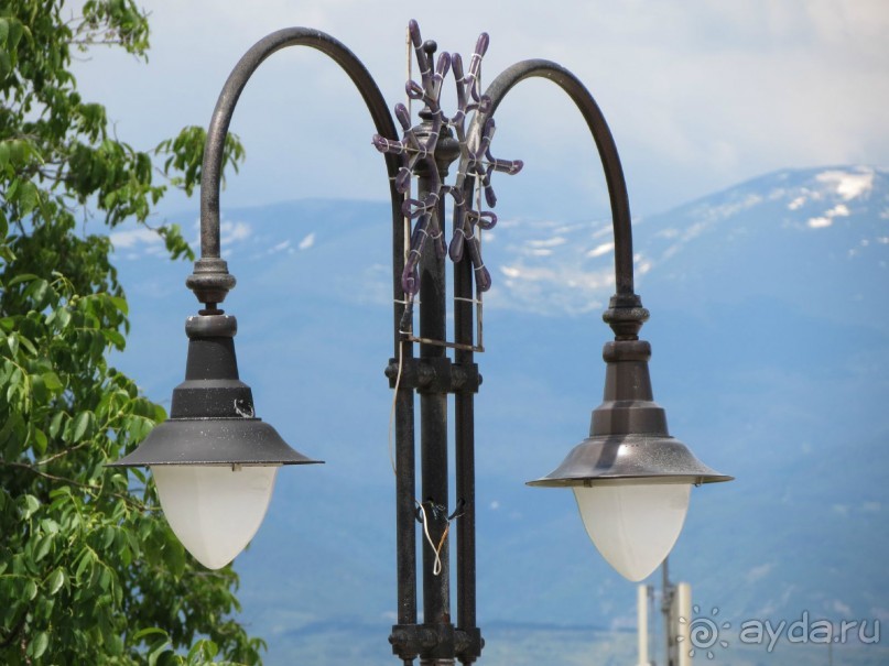 Горы. Сосны. Белки. И минус семь килограммов!