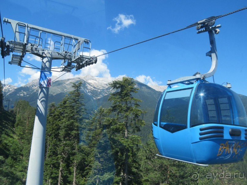 Горы. Сосны. Белки. И минус семь килограммов!