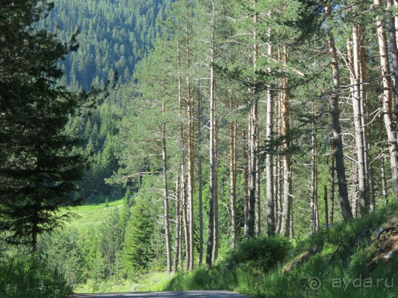 Горы. Сосны. Белки. И минус семь килограммов!