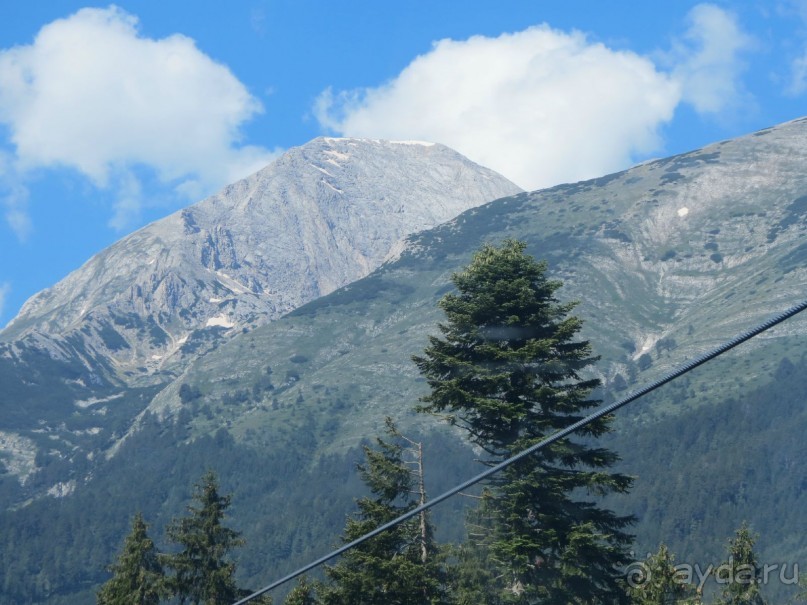 Горы. Сосны. Белки. И минус семь килограммов!