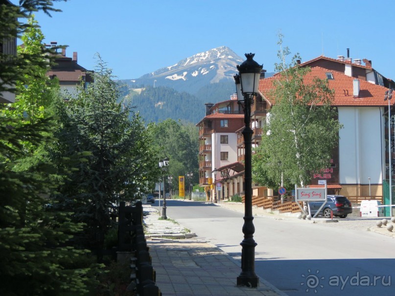 Горы. Сосны. Белки. И минус семь килограммов!