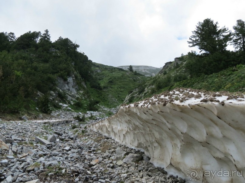Горы. Сосны. Белки. И минус семь килограммов!
