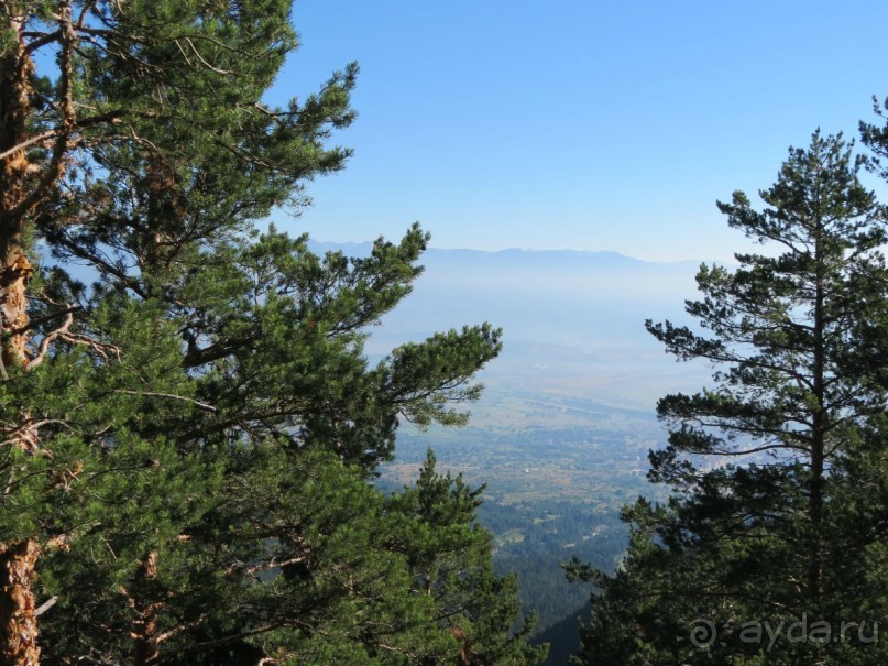 Горы. Сосны. Белки. И минус семь килограммов!