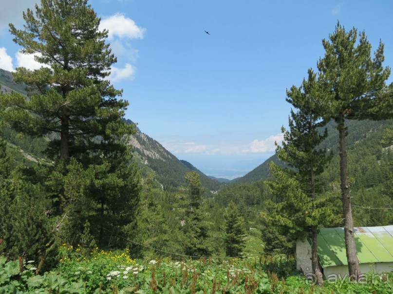 Горы. Сосны. Белки. И минус семь килограммов!