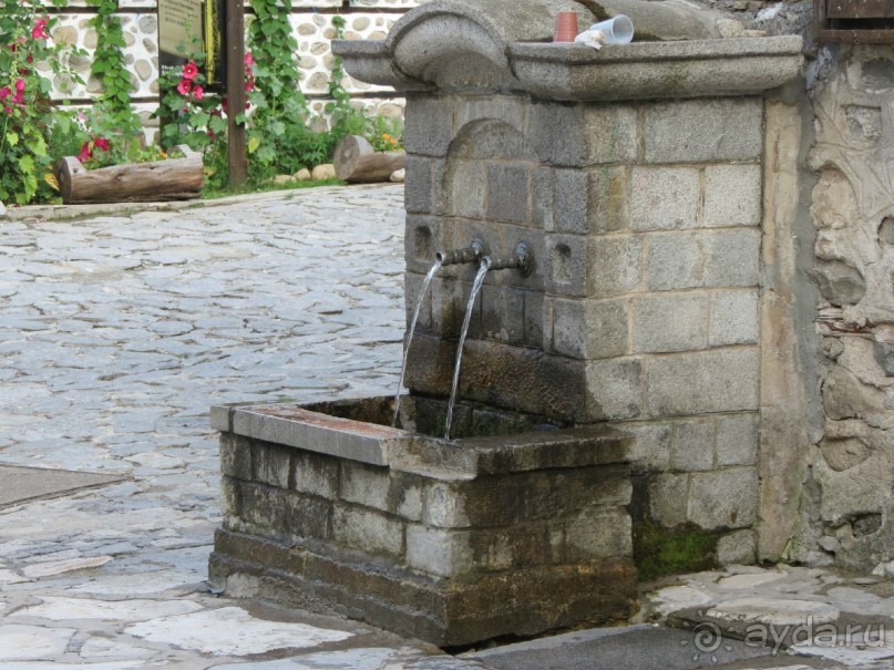 Горы. Сосны. Белки. И минус семь килограммов!