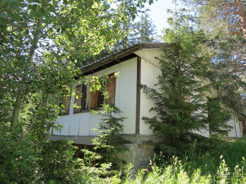 Горы. Сосны. Белки. И минус семь килограммов!